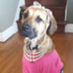 Meet your Posher, Timothy